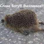 Урааа!Выходные!!!