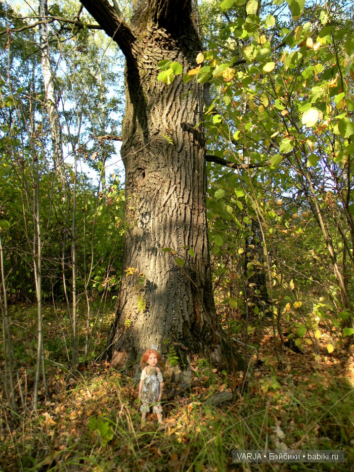 Когда приходится сделать выбор