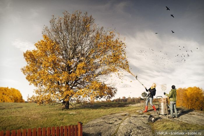 100 фотографий от мастеров фотошопа
