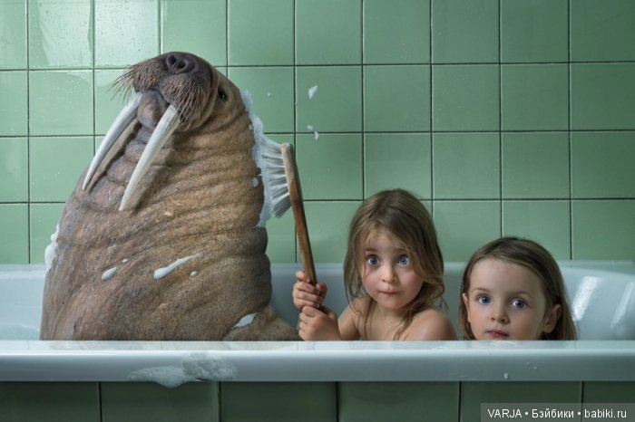 100 фотографий от мастеров фотошопа (фото 3)