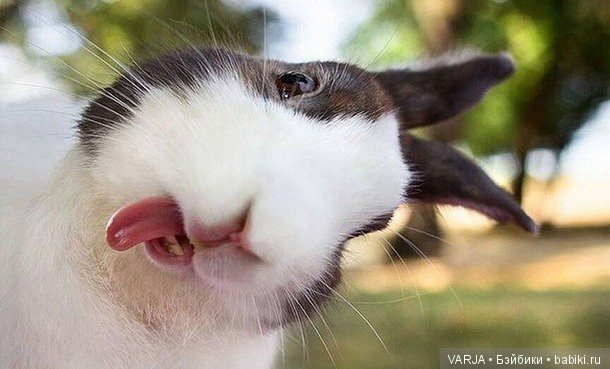 Коротко о том, как я получаюсь на фотографиях (фото 10)