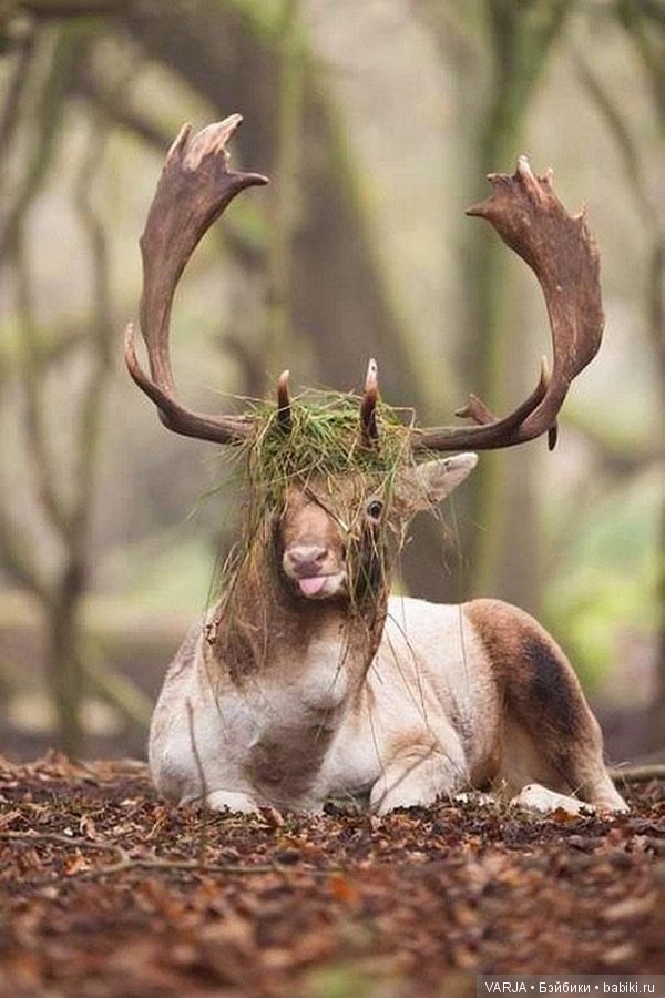 Коротко о том, как я получаюсь на фотографиях (фото 5)