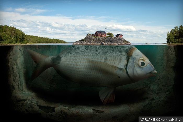 100 фотографий от мастеров фотошопа