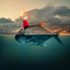 100  фотографий от мастеров фотошопа