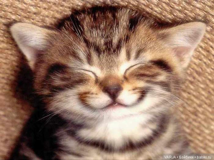 "Таблетка" от кукломании | Бэйбики "Таблетка" от кукломании — Болталка и разговоры обо всем: жизнь (фото 7)