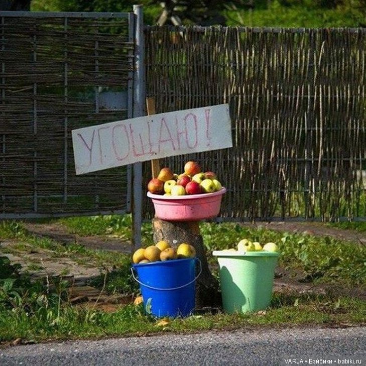 Фото, от которых на душе становится теплей