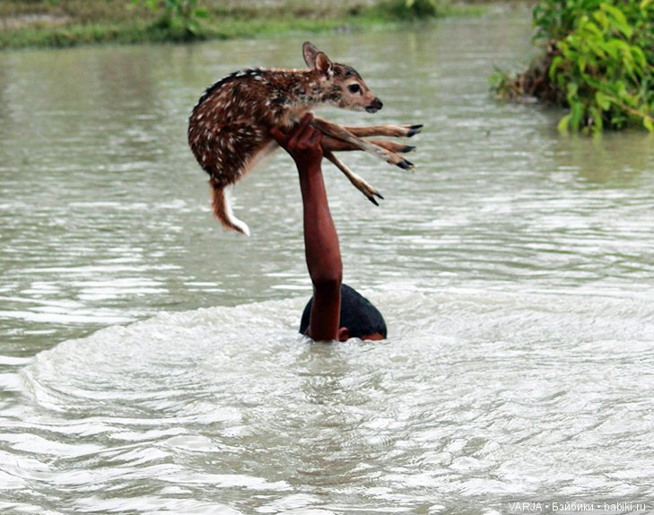 Фото, от которых на душе становится теплей (фото 9)