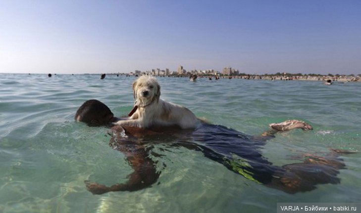 Фото, от которых на душе становится теплей