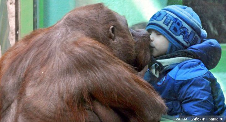 Фото, от которых на душе становится теплей