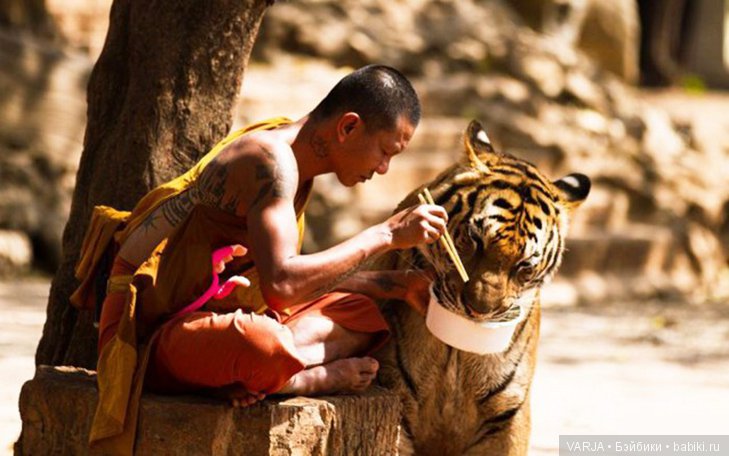 Фото, от которых на душе становится теплей