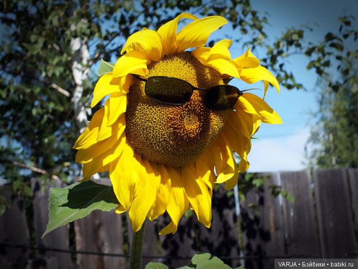 Фото, от которых на душе становится теплей