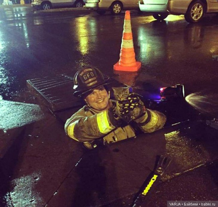 Фото, от которых на душе становится теплей