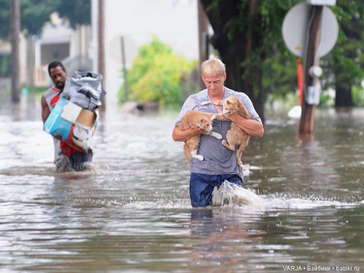 Фото, от которых на душе становится теплей
