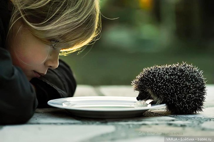 Фото, от которых на душе становится теплей