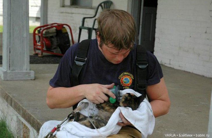 Фото, от которых на душе становится теплей