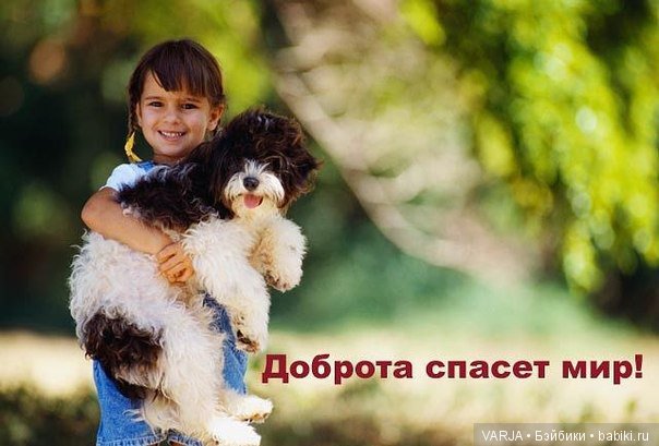 Фото, от которых на душе становится теплей