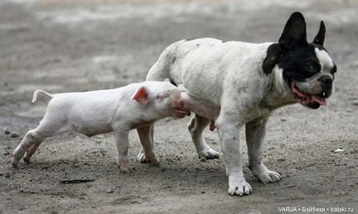 Фото, от которых на душе становится теплей