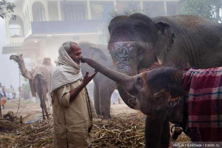 Фото, от которых на душе становится теплей (фото 4)