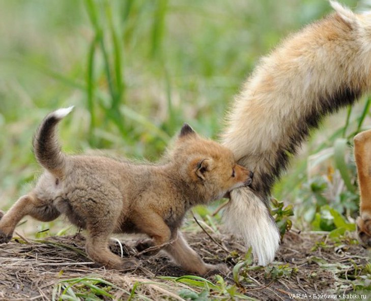 Фото, от которых на душе становится теплей