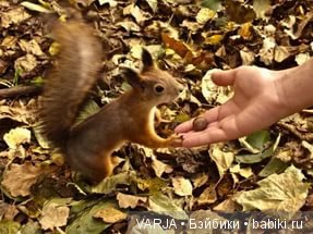 Фото, от которых на душе становится теплей