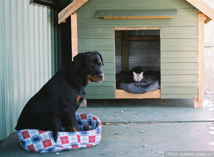 Фото, от которых на душе становится теплей