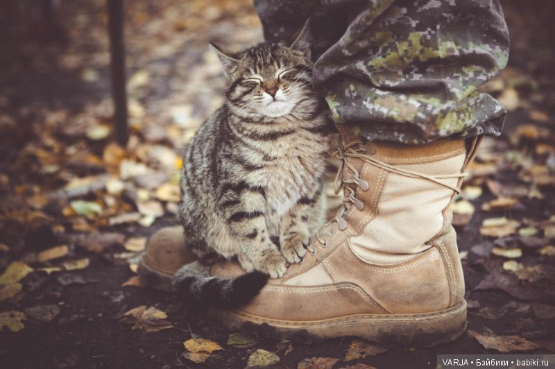 Фото, от которых на душе становится теплей