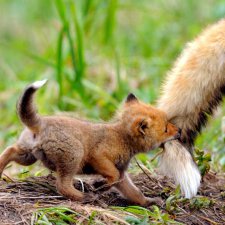 Фото, от которых на душе становится теплей