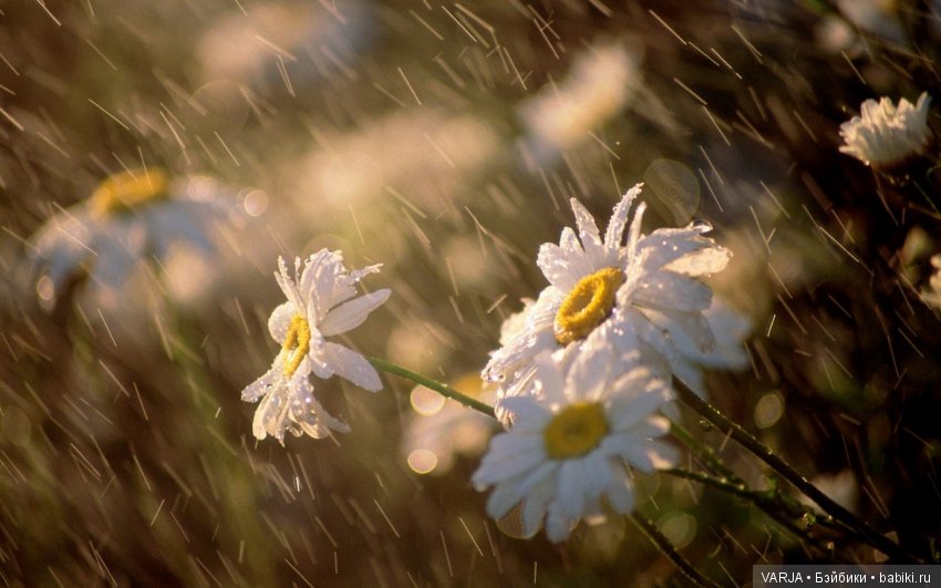 Погода на завтра... Позитив