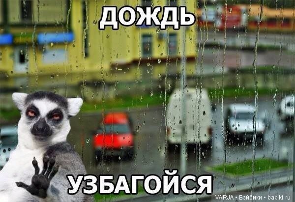 Погода на завтра... Позитив