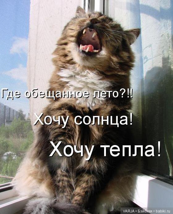 Погода на завтра... Позитив (фото 4)