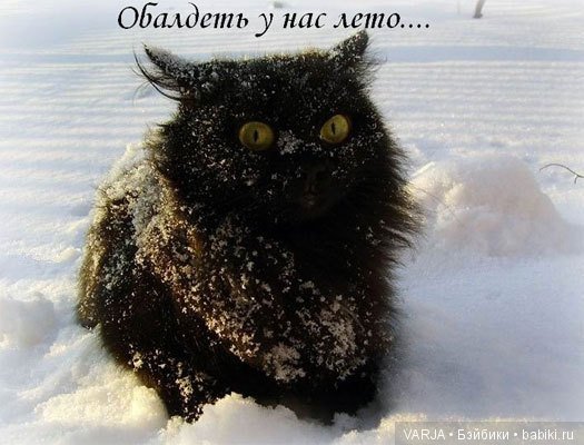 Погода на завтра... Позитив