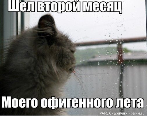 Погода на завтра... Позитив