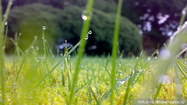 Погода на завтра... Позитив