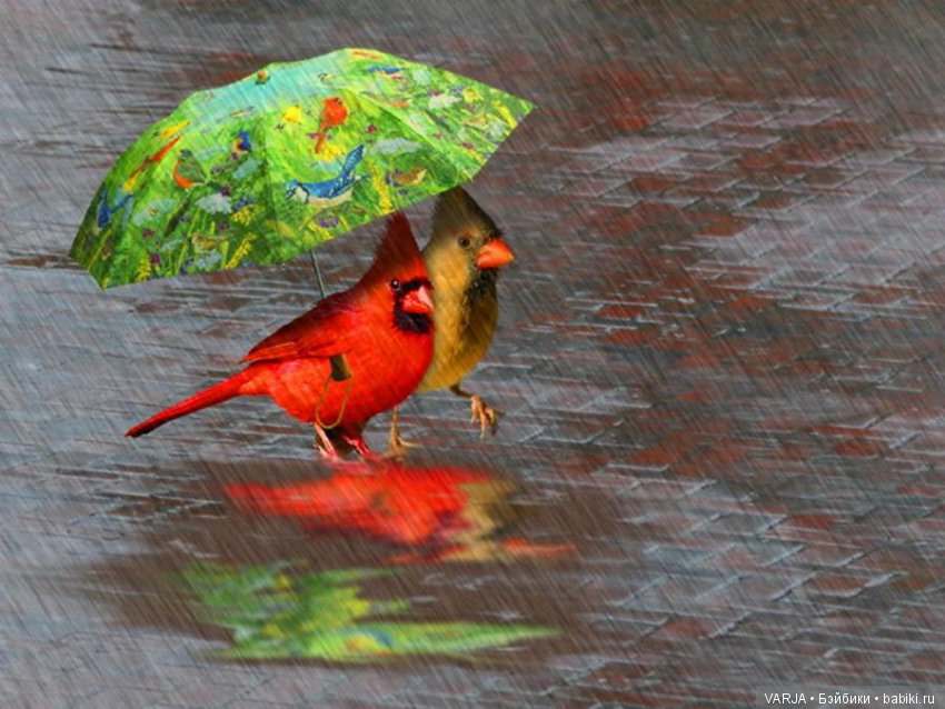 Погода на завтра... Позитив