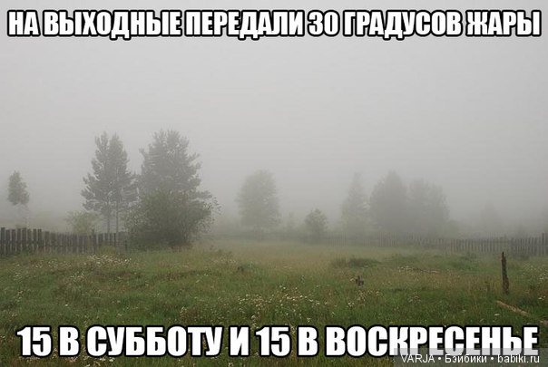 Погода на завтра... Позитив (фото 10)