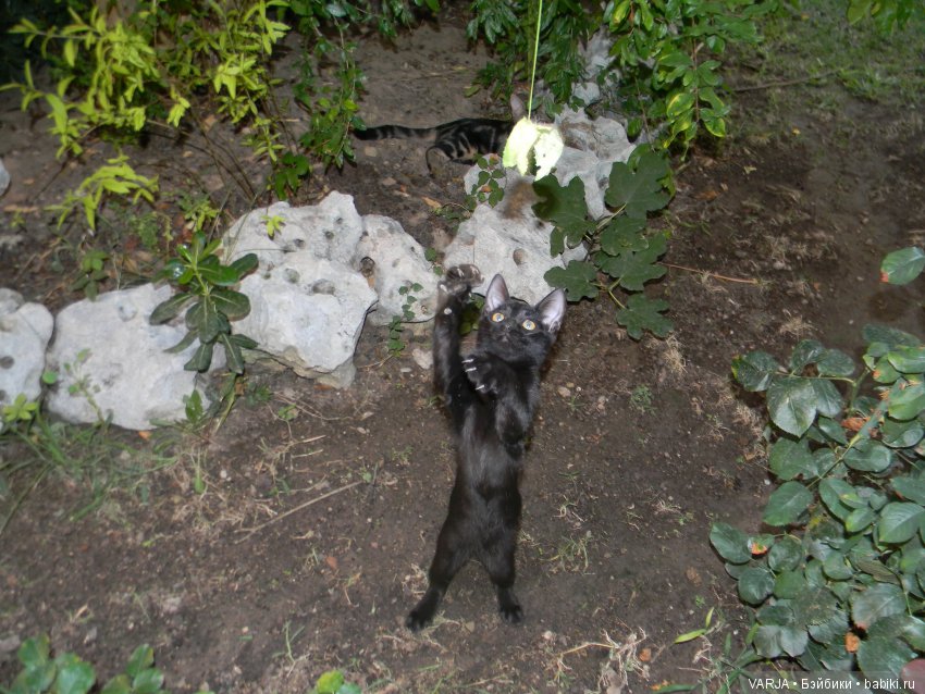 В первый раз на Средиземном море