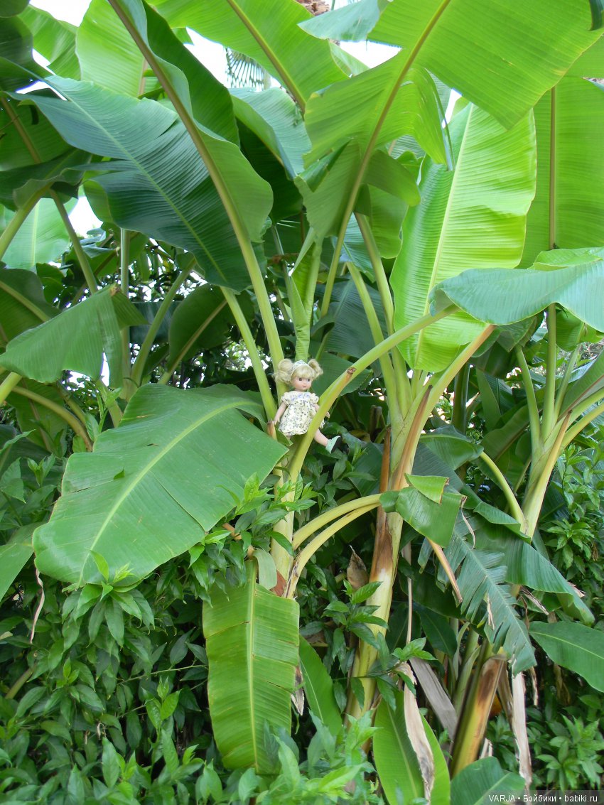 В первый раз на Средиземном море