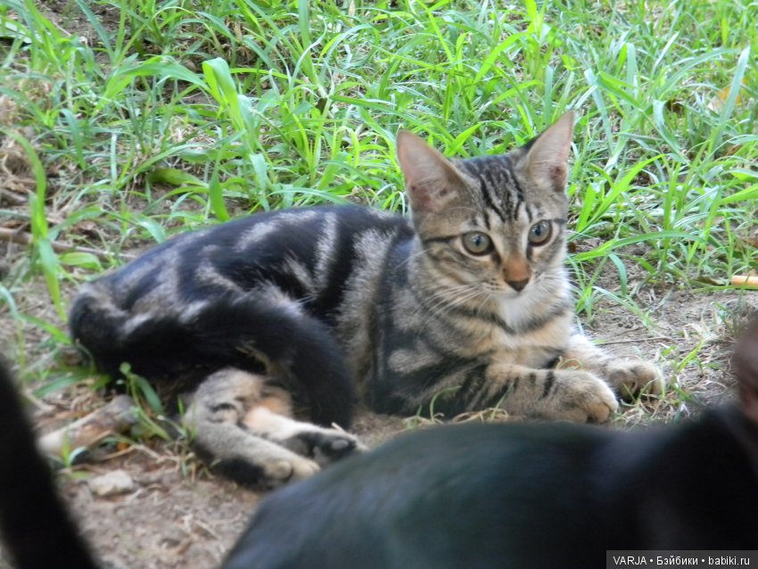 В первый раз на Средиземном море