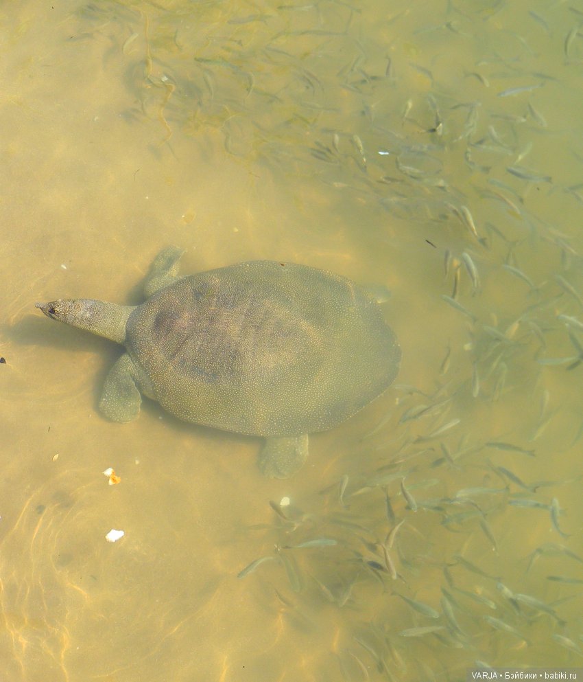 В первый раз на Средиземном море