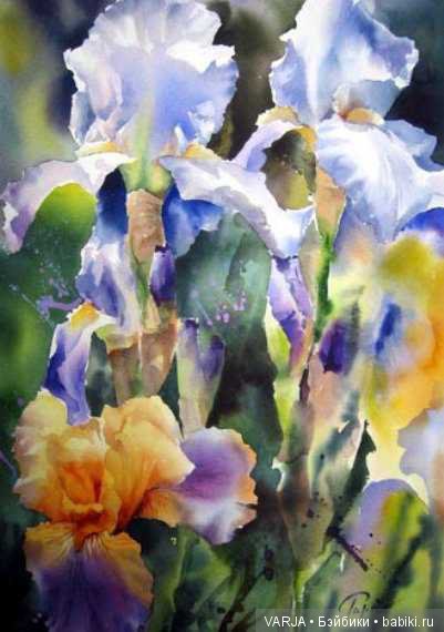 Акварельное многоцветие. Жан -Клод Папье (Jean Claude Papeix) (фото 5)