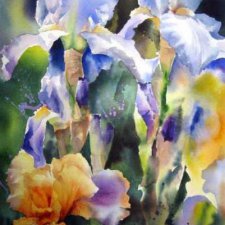 Акварельное многоцветие. Жан -Клод  Папье (Jean Claude Papeix)