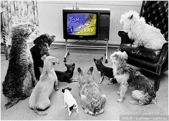 Глаза — Интересное и необычное: фотоподборки