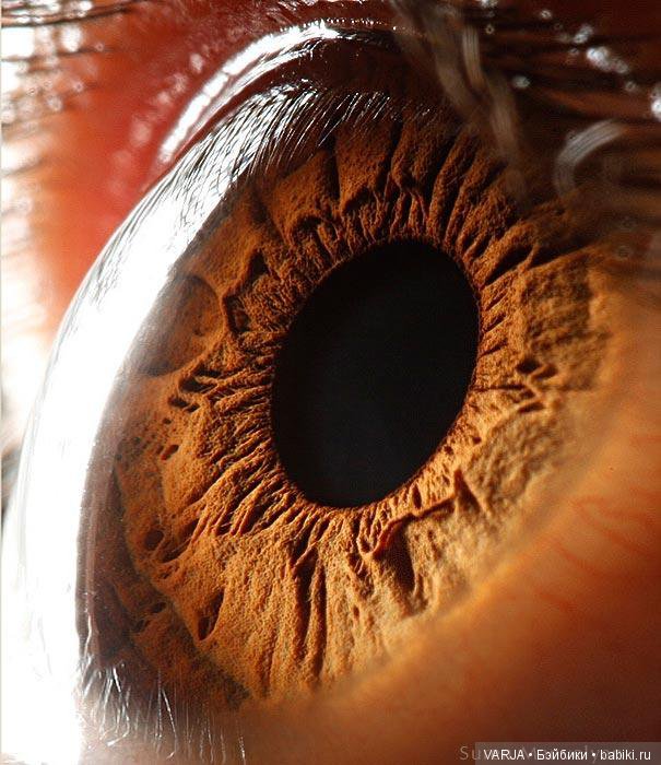 Глаза — Интересное и необычное: фотоподборки