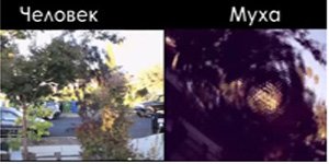 Глаза — Интересное и необычное: фотоподборки