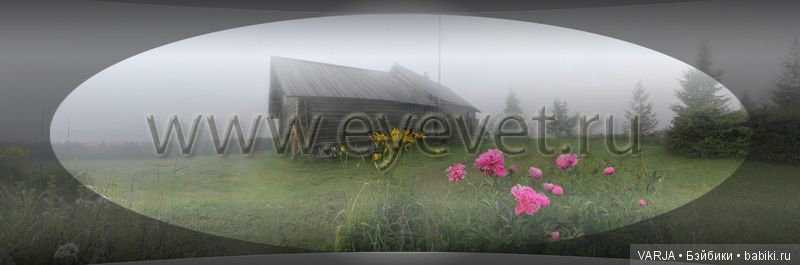 Глаза — Интересное и необычное: фотоподборки