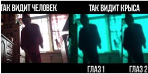 Глаза — Интересное и необычное: фотоподборки