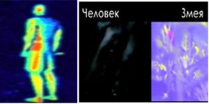 Глаза — Интересное и необычное: фотоподборки