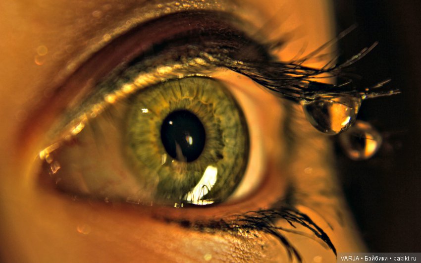 Глаза — Интересное и необычное: фотоподборки