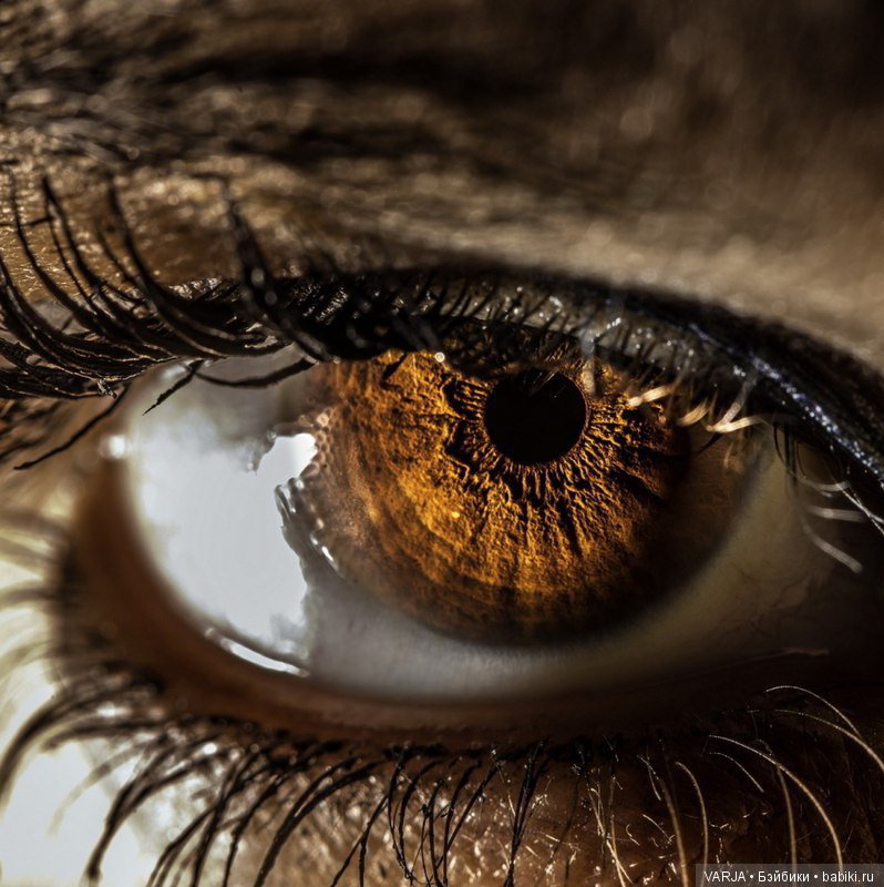 Глаза — Интересное и необычное: фотоподборки
