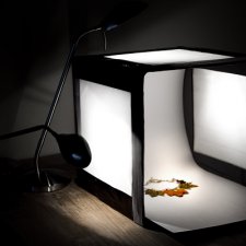 А вы умеете фотографировать?